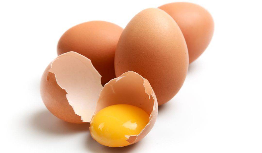 Rising Egg Prices in 2025: How Food Businesses Can Reduce Costs