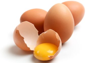 Rising Egg Prices in 2025: How Food Businesses Can Reduce Costs